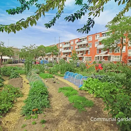 New Monumental Garden View